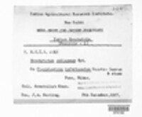Synchytrium collapsum image